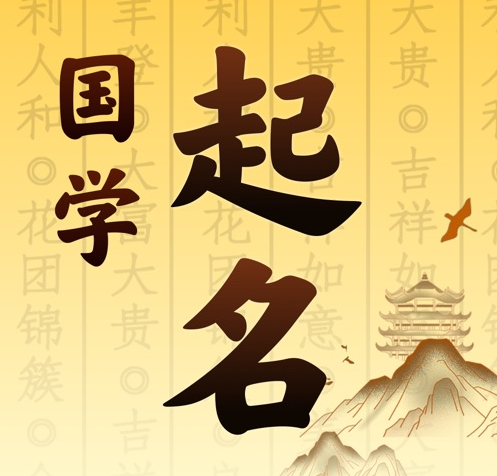 嵩明国学起名 人工起名一对一